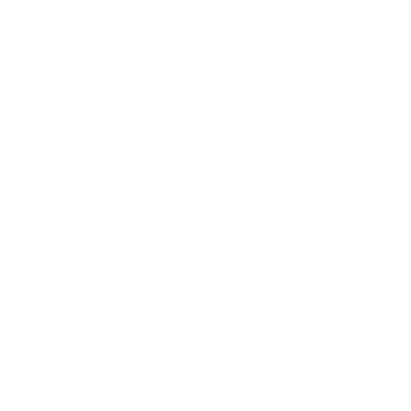 logo-blanco-nafsa